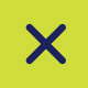 Quick Exit Icon