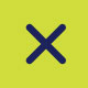 Quick Exit Icon